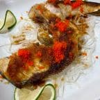 Best Yellowtail Collar in Hilton Head Island, SC